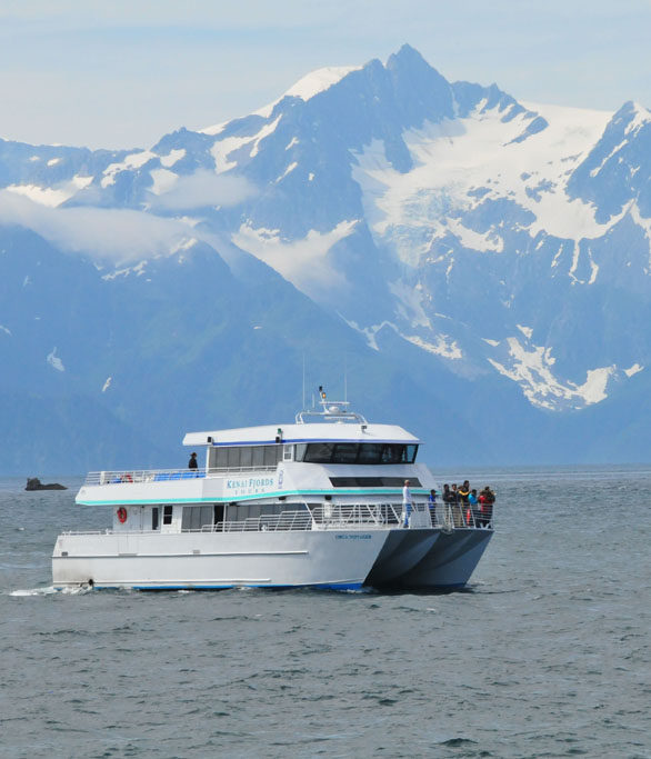 Orca Voyager-Kenai Fjords National Park  Photo courtesy of Chris Batin