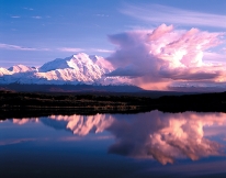 Explore the wonder of Denali National Park and Alaska's abundant wildlife