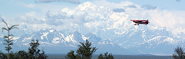 Best of Denali